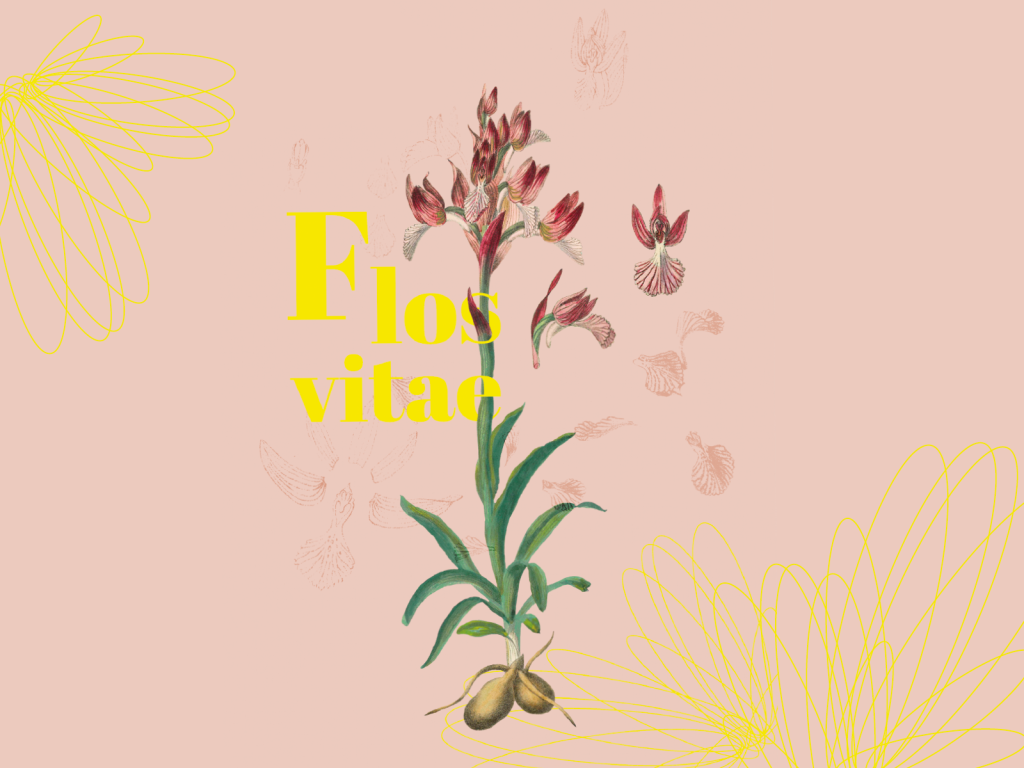 Visuel de l'exposition Flos Vitae