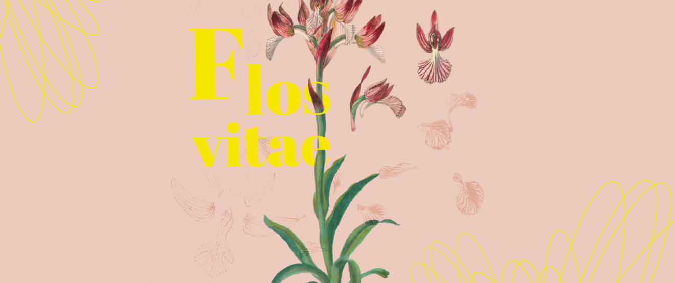 Visuel de l'exposition Flos Vitae